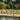 Coghlan Lounge Set